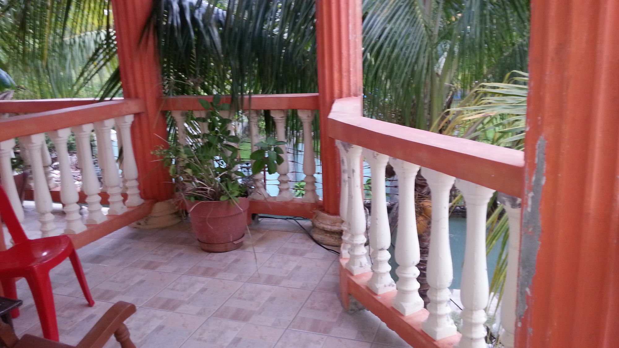 La Delphina Bed And Breakfast Bar And Grill La Ceiba Exterior foto
